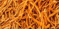Cordyceps